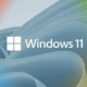 Използвайте Windows 11 като професионалист