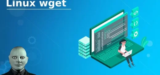 wget Command