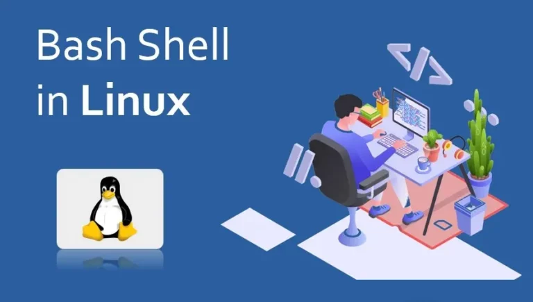 bash shell