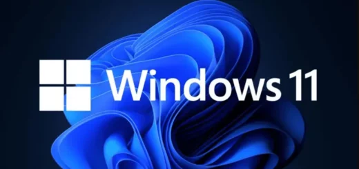 Windows 11