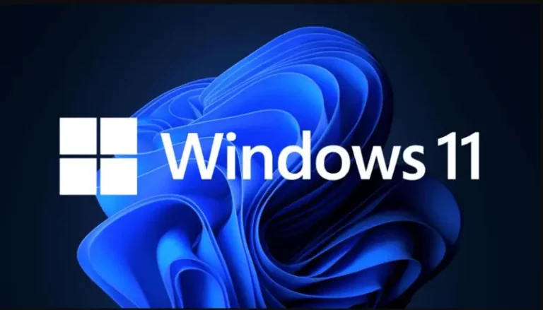 Windows 11