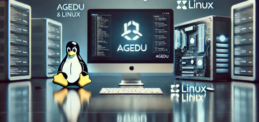 Agedu: Инструмент за проследяване на загубеното дисково пространство в Linux