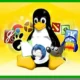 Как да инсталираме софтуер в Linux – Пълно ръководство за начинаещи (2025)
