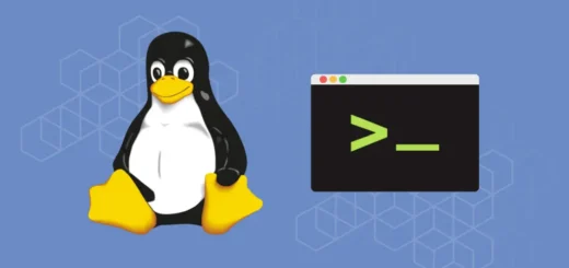 Използване на Терминала в Linux