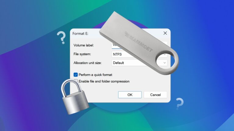 Как правилно да форматирате флашка в Windows 11?