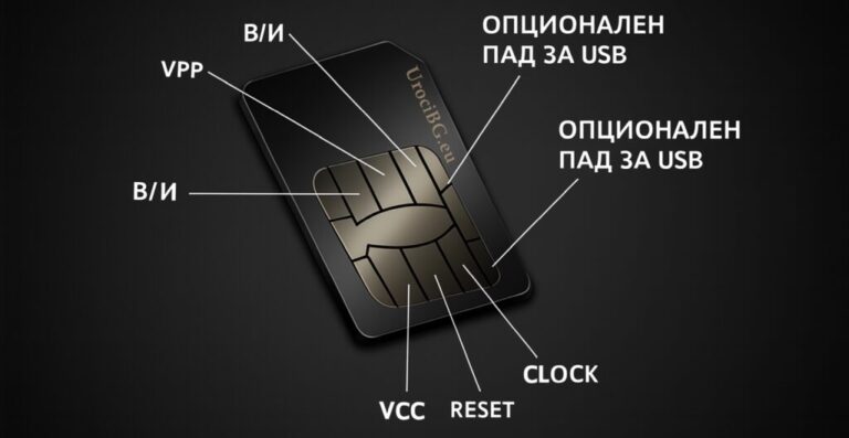 SIM картата: малкият чип с голяма роля в мобилния свят